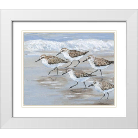 Sandpipers I White Modern Wood Framed Art Print with Double Matting by OToole, Tim