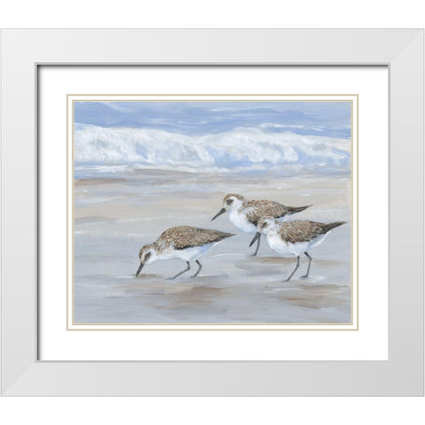 Sandpipers II White Modern Wood Framed Art Print with Double Matting by OToole, Tim