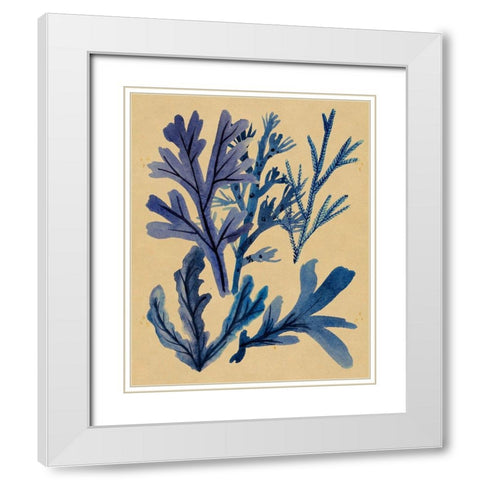 Underwater Forest IV White Modern Wood Framed Art Print with Double Matting by Wang, Melissa