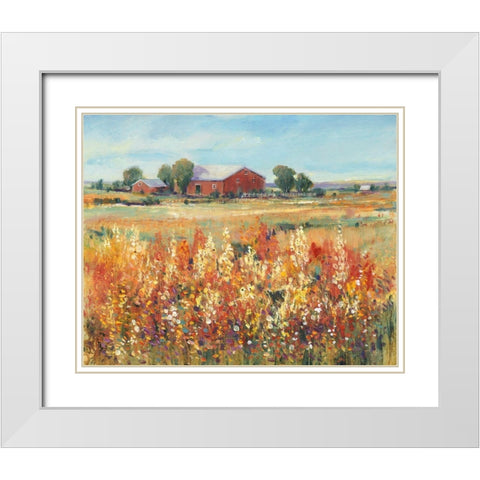 Country View II White Modern Wood Framed Art Print with Double Matting by OToole, Tim