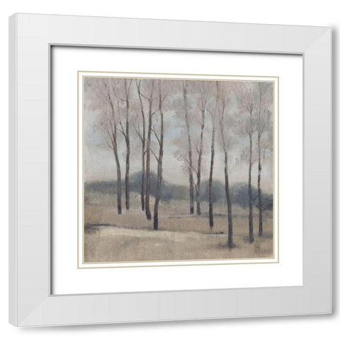 Soft Light II White Modern Wood Framed Art Print with Double Matting by OToole, Tim