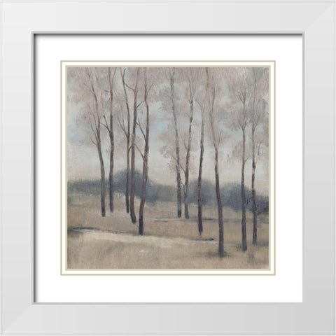 Soft Light II White Modern Wood Framed Art Print with Double Matting by OToole, Tim