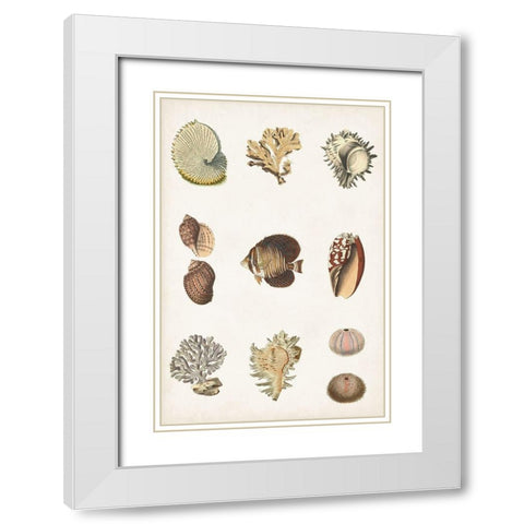 Antique Coastal Chart I White Modern Wood Framed Art Print with Double Matting by Vision Studio