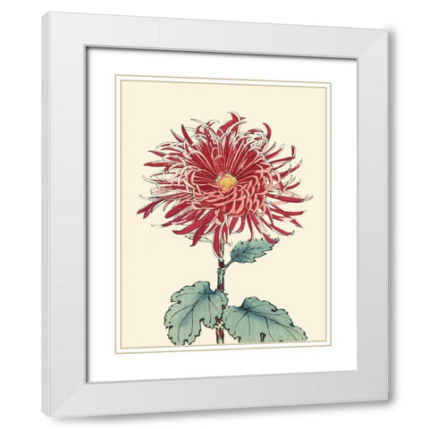 Chrysanthemum Woodblock I White Modern Wood Framed Art Print with Double Matting by Unknown