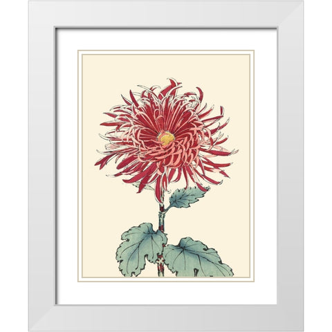 Chrysanthemum Woodblock I White Modern Wood Framed Art Print with Double Matting by Unknown