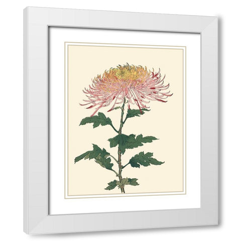 Chrysanthemum Woodblock II White Modern Wood Framed Art Print with Double Matting by Unknown