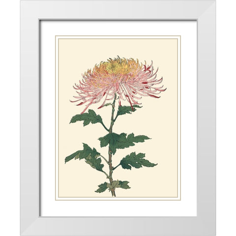 Chrysanthemum Woodblock II White Modern Wood Framed Art Print with Double Matting by Unknown