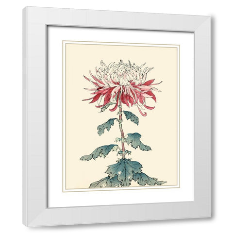 Chrysanthemum Woodblock III White Modern Wood Framed Art Print with Double Matting by Unknown