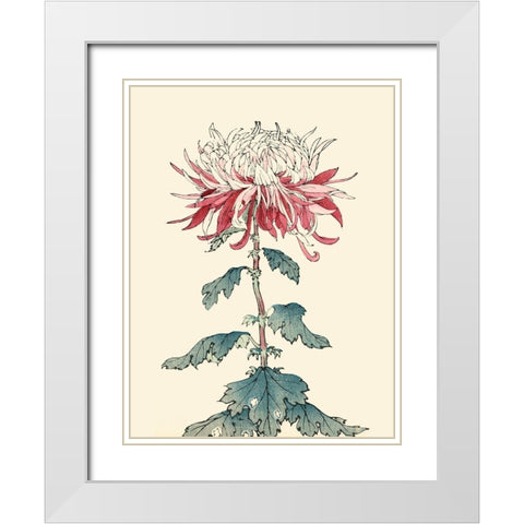Chrysanthemum Woodblock III White Modern Wood Framed Art Print with Double Matting by Unknown