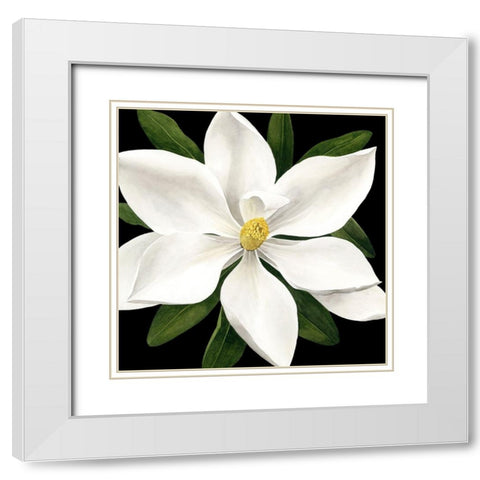 Midnight Magnolia I White Modern Wood Framed Art Print with Double Matting by Popp, Grace