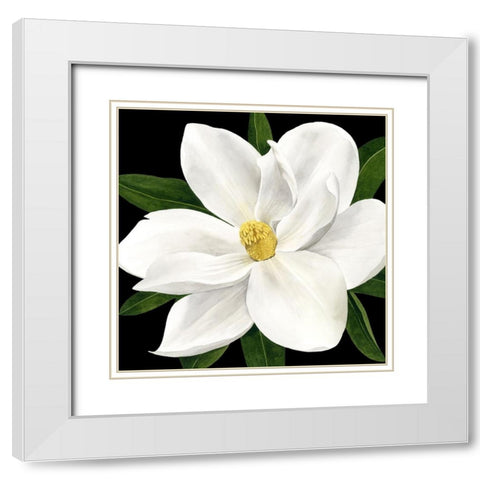 Midnight Magnolia II White Modern Wood Framed Art Print with Double Matting by Popp, Grace