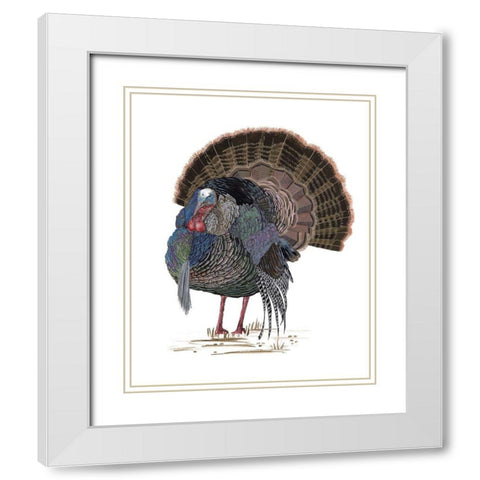 Turkey Study II White Modern Wood Framed Art Print with Double Matting by Wang, Melissa