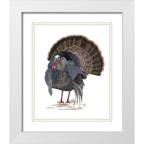 Turkey Study II White Modern Wood Framed Art Print with Double Matting by Wang, Melissa