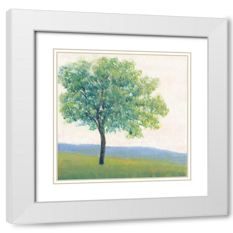 Solitary Tree I White Modern Wood Framed Art Print with Double Matting by OToole, Tim