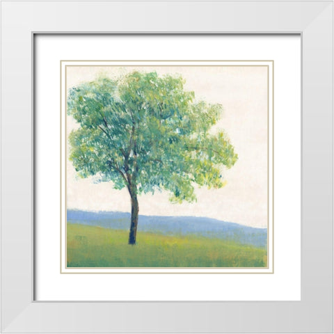 Solitary Tree I White Modern Wood Framed Art Print with Double Matting by OToole, Tim