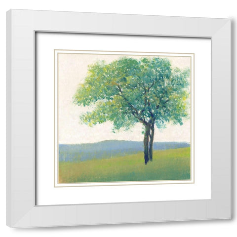 Solitary Tree II White Modern Wood Framed Art Print with Double Matting by OToole, Tim