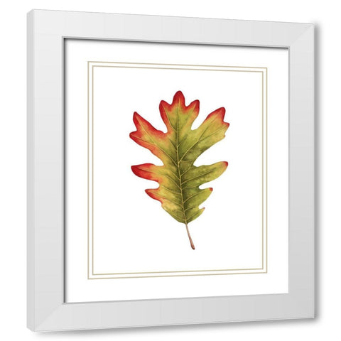 Fall Leaf Study II White Modern Wood Framed Art Print with Double Matting by Popp, Grace