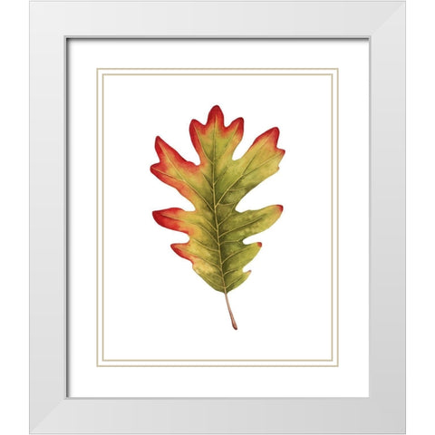 Fall Leaf Study II White Modern Wood Framed Art Print with Double Matting by Popp, Grace