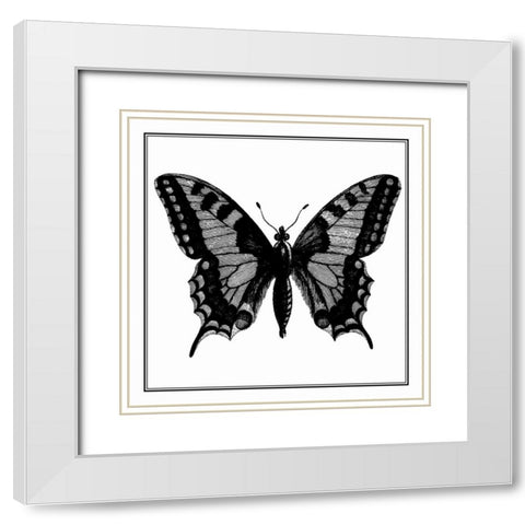Custom Classical Butterfly I White Modern Wood Framed Art Print with Double Matting by Vision Studio