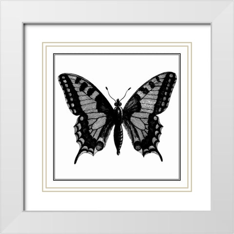 Custom Classical Butterfly I White Modern Wood Framed Art Print with Double Matting by Vision Studio