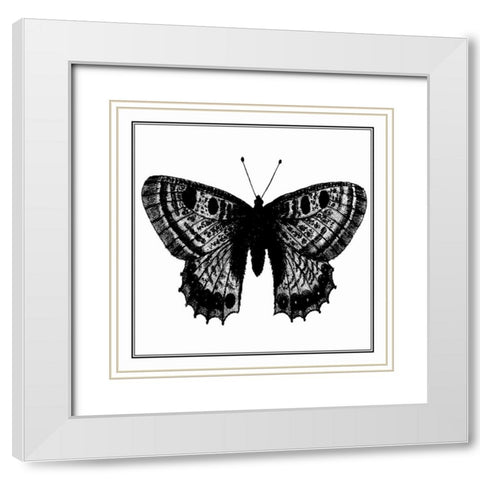 Custom Classical Butterfly II White Modern Wood Framed Art Print with Double Matting by Vision Studio