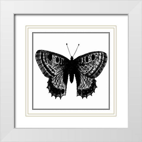 Custom Classical Butterfly II White Modern Wood Framed Art Print with Double Matting by Vision Studio