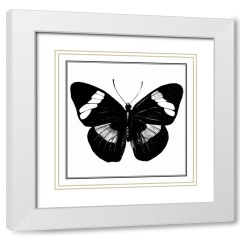 Custom Classical Butterfly III White Modern Wood Framed Art Print with Double Matting by Vision Studio
