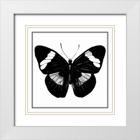 Custom Classical Butterfly III White Modern Wood Framed Art Print with Double Matting by Vision Studio