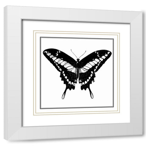 Custom Classical Butterfly IV White Modern Wood Framed Art Print with Double Matting by Vision Studio