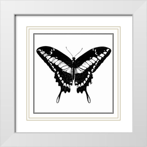 Custom Classical Butterfly IV White Modern Wood Framed Art Print with Double Matting by Vision Studio