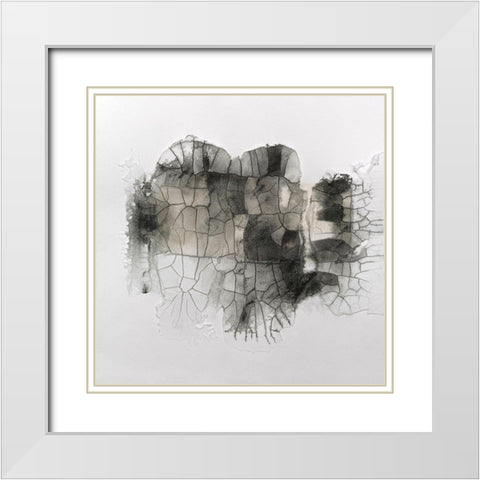 Cut Glass IV White Modern Wood Framed Art Print with Double Matting by Finch, Scherrer