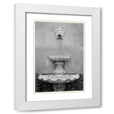 Black and White Fountains I White Modern Wood Framed Art Print with Double Matting by DeNardo, Laura