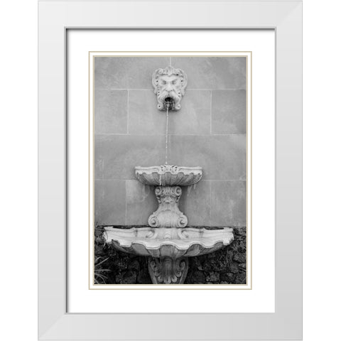 Black and White Fountains I White Modern Wood Framed Art Print with Double Matting by DeNardo, Laura