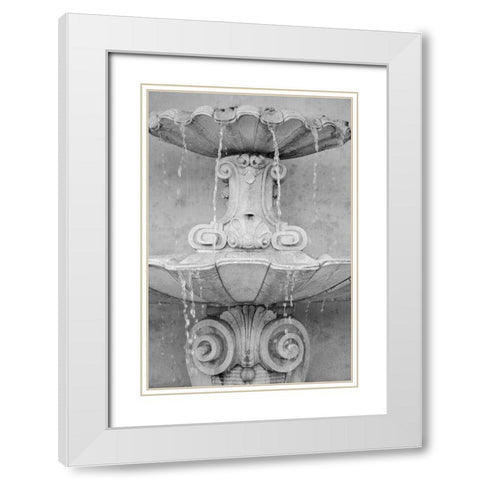 Black and White Fountains II White Modern Wood Framed Art Print with Double Matting by DeNardo, Laura