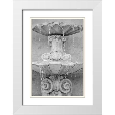 Black and White Fountains II White Modern Wood Framed Art Print with Double Matting by DeNardo, Laura