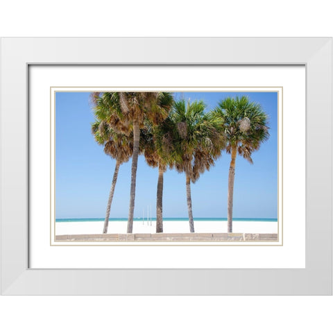 Coastal Palms I White Modern Wood Framed Art Print with Double Matting by DeNardo, Laura