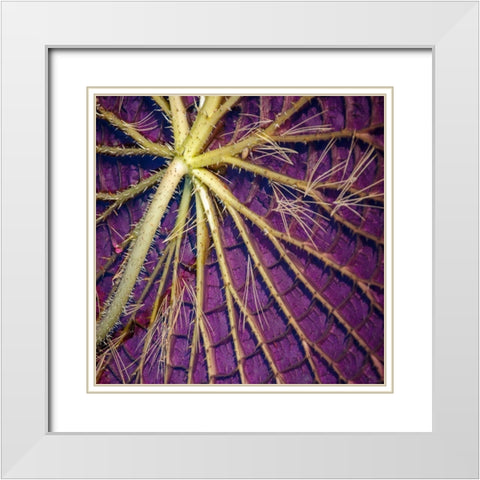 Cropped Garden Leaves IV White Modern Wood Framed Art Print with Double Matting by DeNardo, Laura