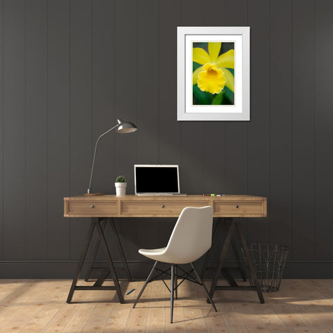 Garden Array II White Modern Wood Framed Art Print with Double Matting by DeNardo, Laura