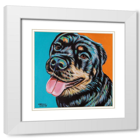 Rottweiler I White Modern Wood Framed Art Print with Double Matting by Vitaletti, Carolee