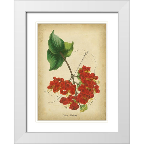 Vermillion Blooms II White Modern Wood Framed Art Print with Double Matting by Paxton
