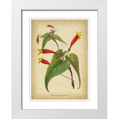 Vermillion Blooms IV White Modern Wood Framed Art Print with Double Matting by Paxton