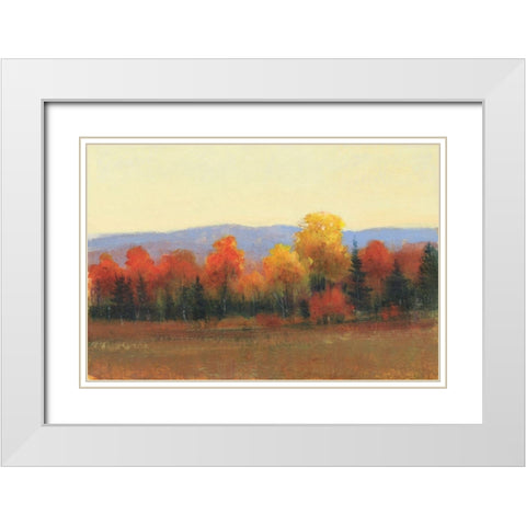 Changing Colors I White Modern Wood Framed Art Print with Double Matting by OToole, Tim