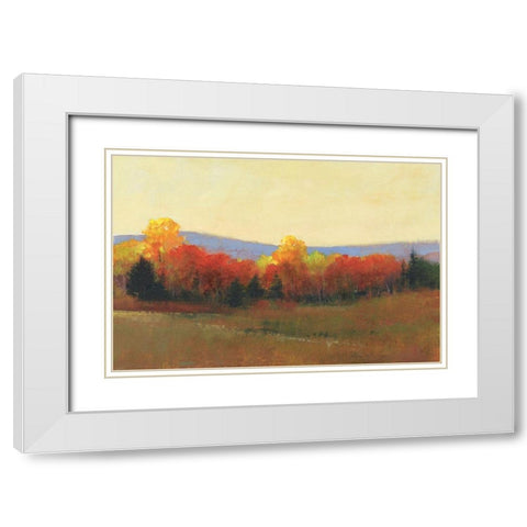 Changing Colors II White Modern Wood Framed Art Print with Double Matting by OToole, Tim