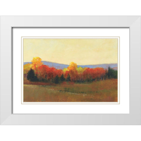 Changing Colors II White Modern Wood Framed Art Print with Double Matting by OToole, Tim