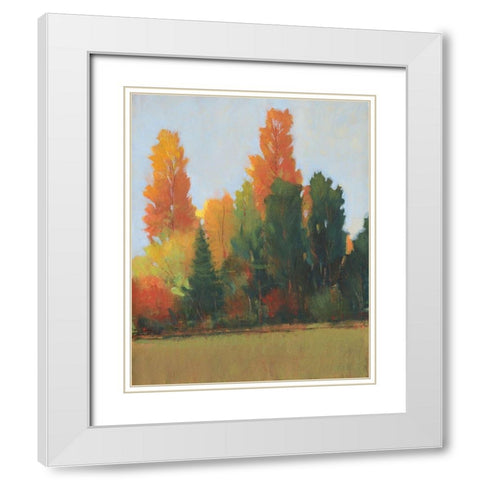 Fall Colors I White Modern Wood Framed Art Print with Double Matting by OToole, Tim