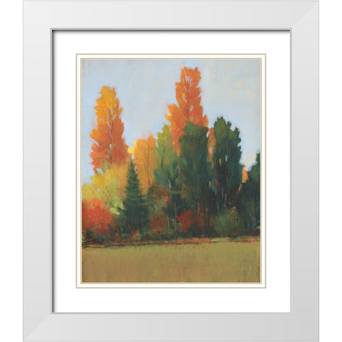 Fall Colors I White Modern Wood Framed Art Print with Double Matting by OToole, Tim