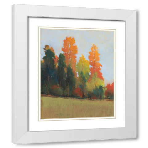 Fall Colors II White Modern Wood Framed Art Print with Double Matting by OToole, Tim