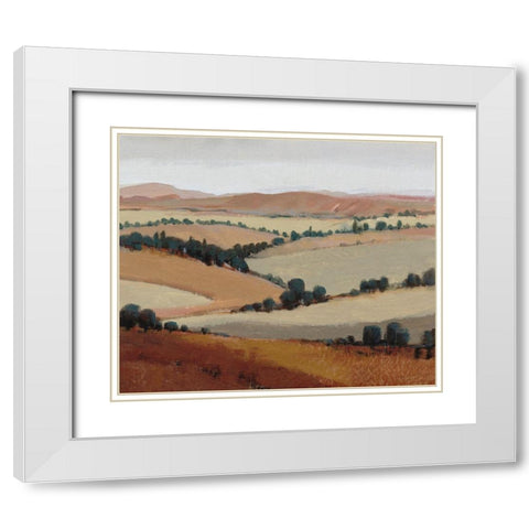 Soaring View I White Modern Wood Framed Art Print with Double Matting by OToole, Tim