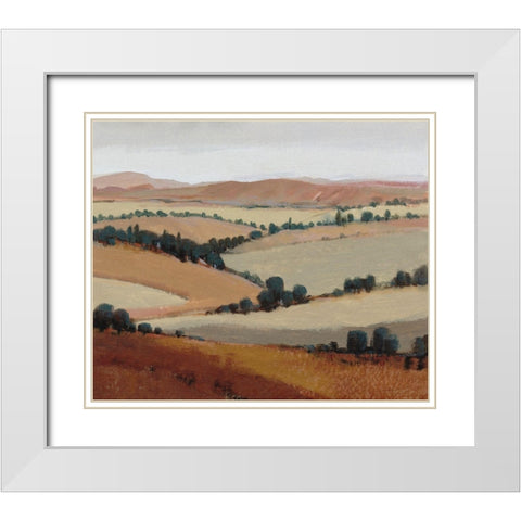 Soaring View I White Modern Wood Framed Art Print with Double Matting by OToole, Tim