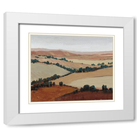Soaring View II White Modern Wood Framed Art Print with Double Matting by OToole, Tim